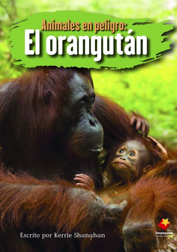 Animales en peligro: El orangután